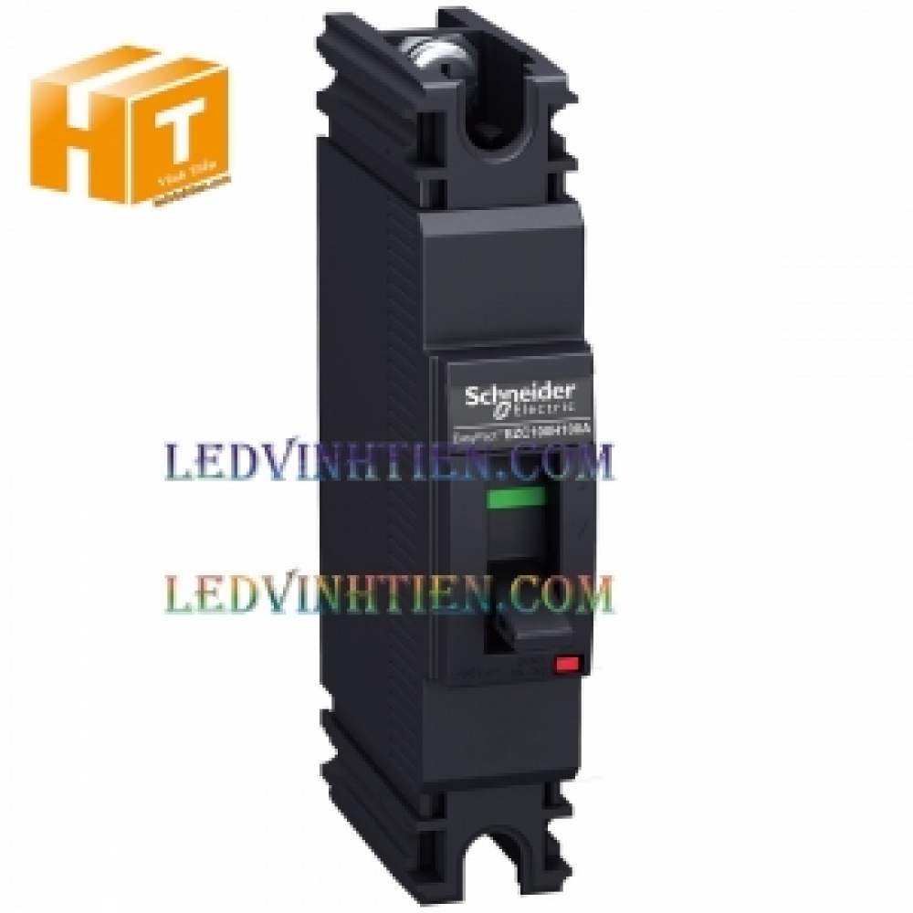 CB Schneider MCCB EasyPact 1P 100A