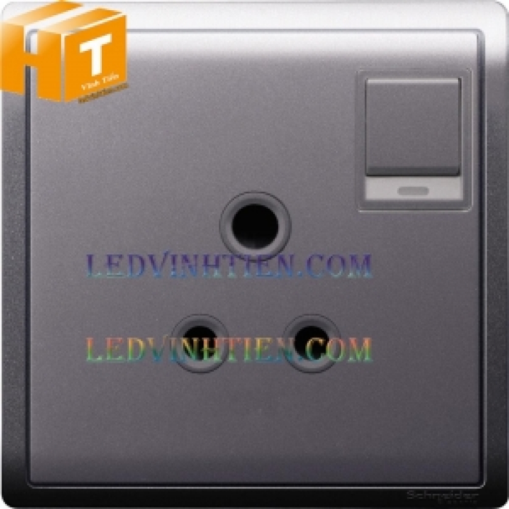 Ổ cắm 3 chân tròn 5A màu bạc Schneider