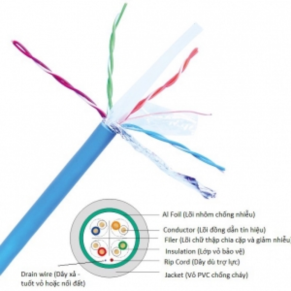 Dây cáp mạng NC6-F100