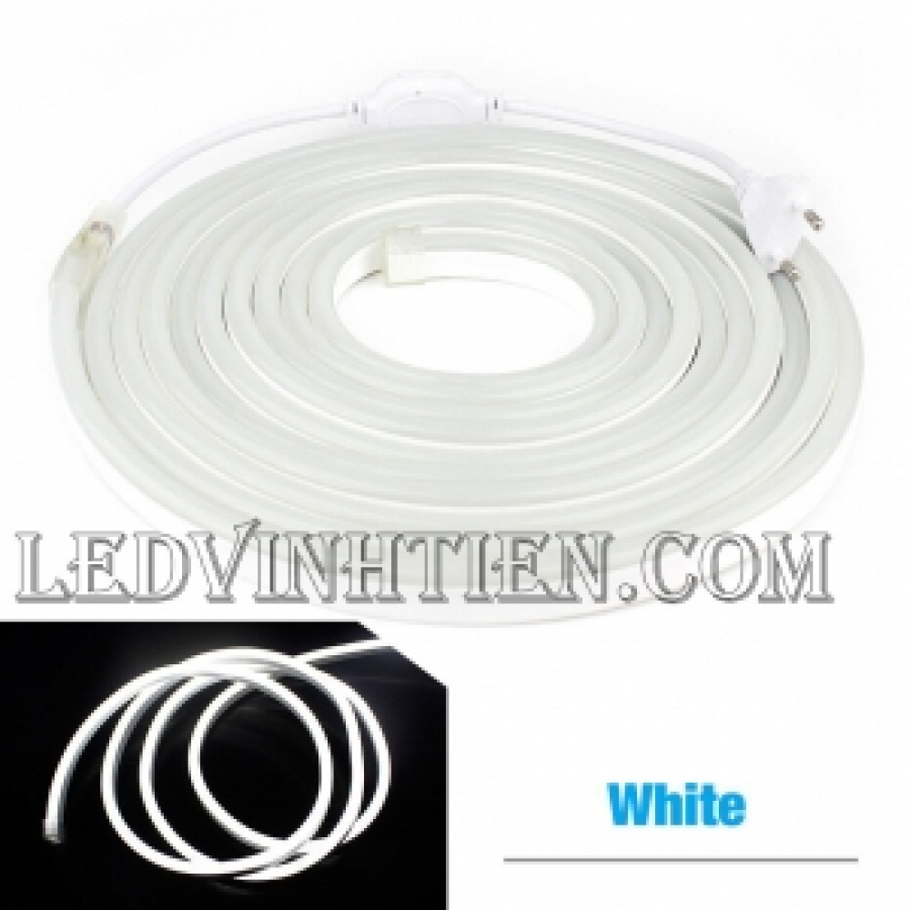 Dây nguồn led neon flex 220V