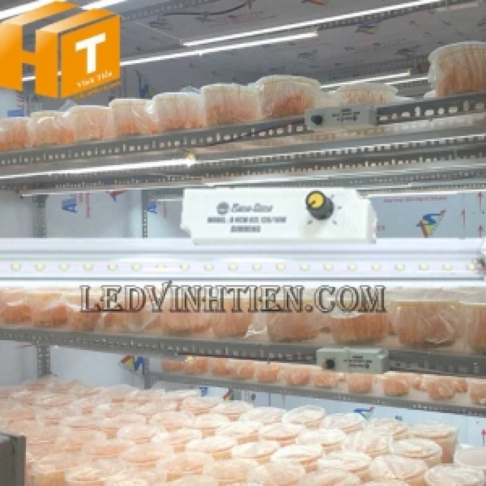 Đèn led nuôi đông trùng hạ thảo Rạng Đông