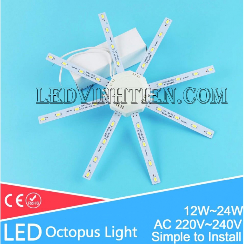 Led vòng 12w
