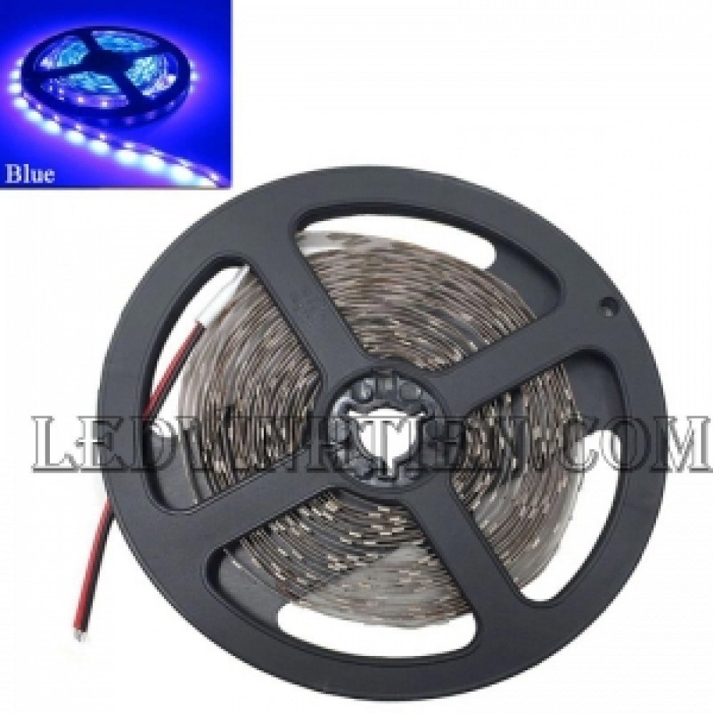 Led dây 24V 5050 xanh dương