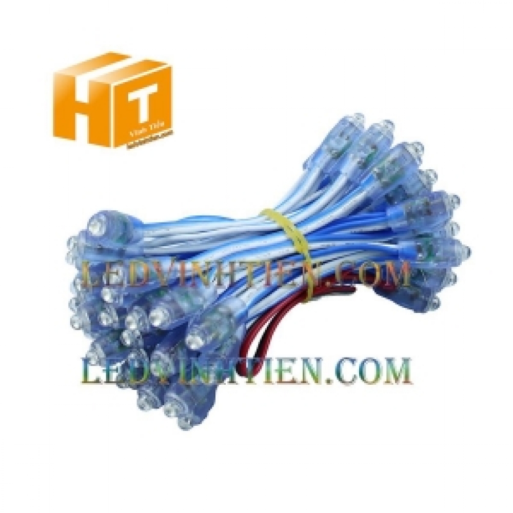 Led đúc F5 12V đế 9mm xanh dương