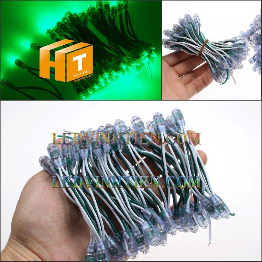 Led đúc F8 12V đầu trong xanh lá