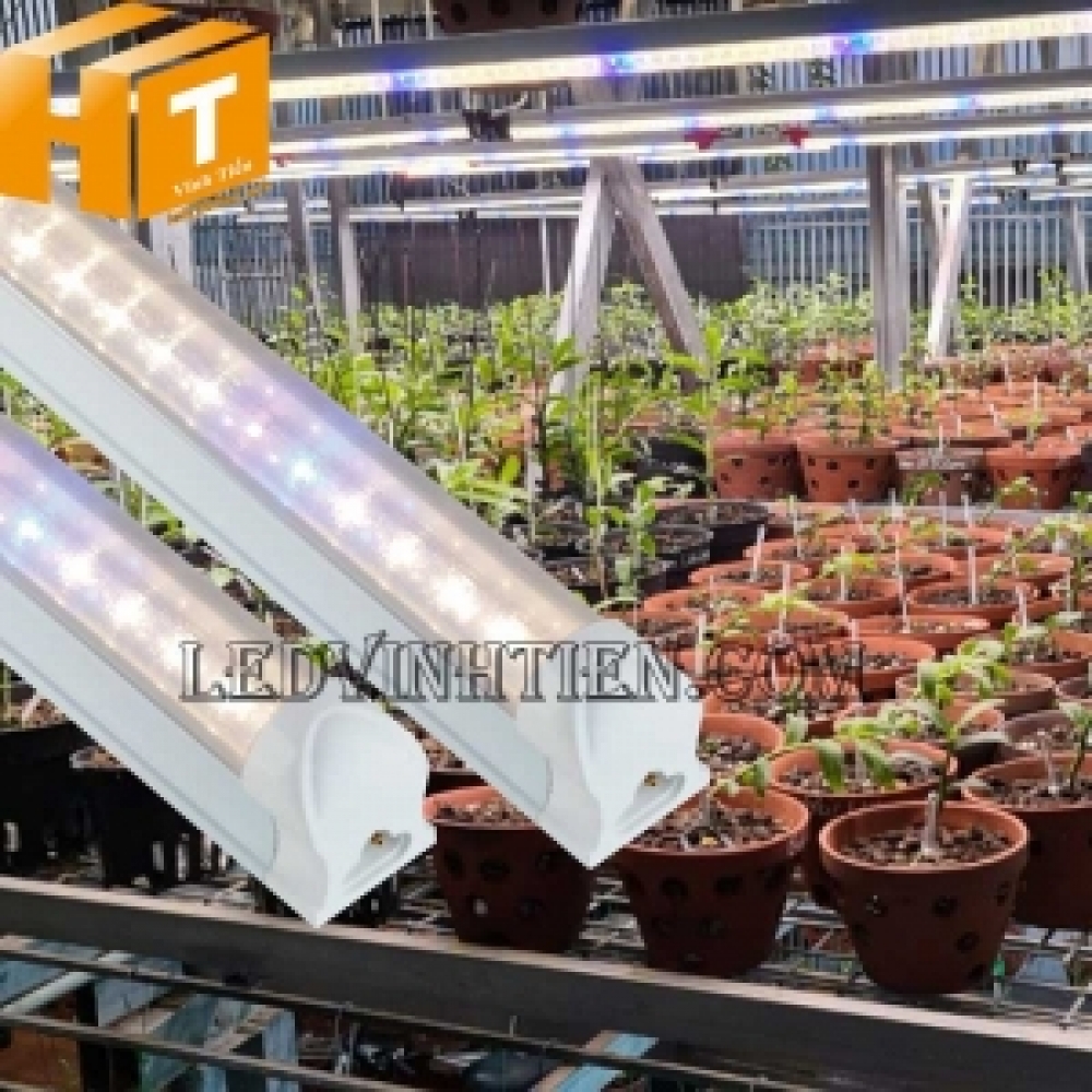 Đèn led trồng hoa lan 25W WBU Rạng Đông