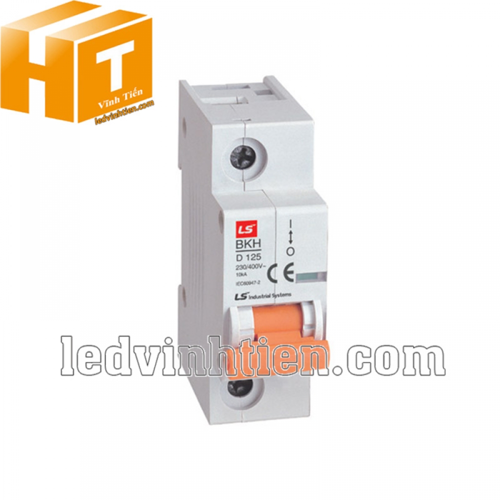 Aptomat LS MCB 1P 100A 6kA