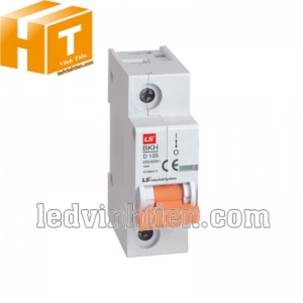 Aptomat LS MCB 1P 100A 6kA