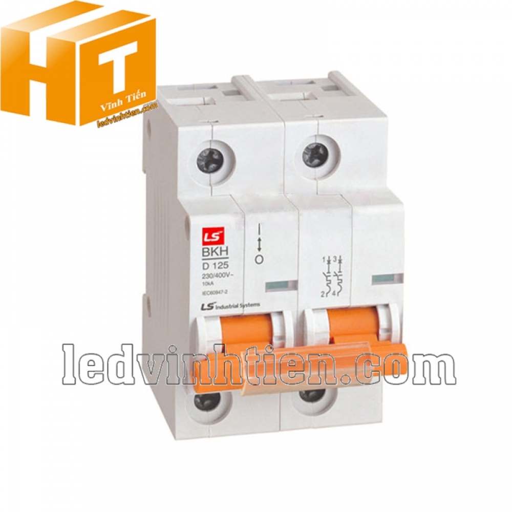 Aptomat LS MCB 2P 125A 6kA