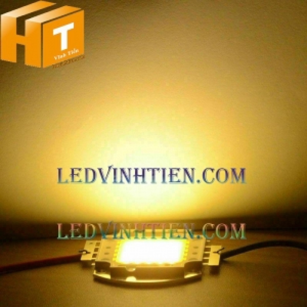 Tim đèn pha 20w màu vàng