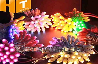 Các mẩu bóng led F5, F8 DC12V, 5V quấn cây, biển quảng cáo ngoài trời