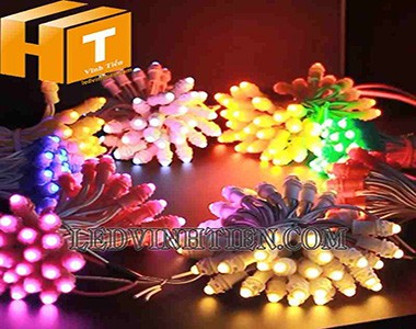 Các mẩu bóng led F5, F8 DC12V, 5V quấn cây, biển quảng cáo ngoài trời