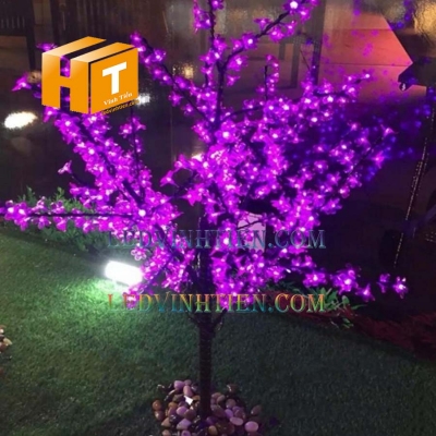 Cây hoa đào đèn led 3m màu tím