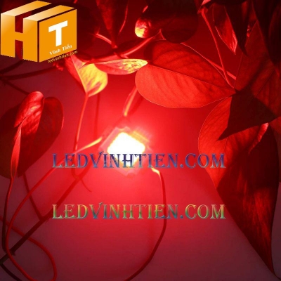 Tim đèn pha 20w màu đỏ