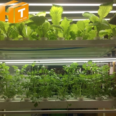 Đèn led trồng rau 25W phổ WR Rạng Đông