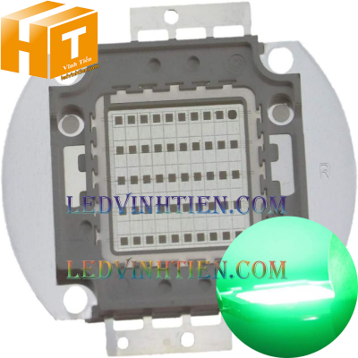 Tim đèn pha 20w xanh lá