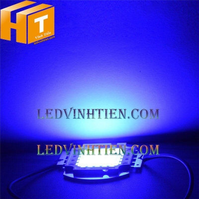 Tim đèn pha 20w xanh dương