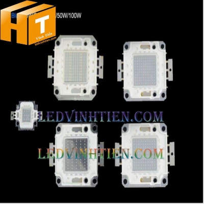 Tim đèn pha 10w màu đỏ