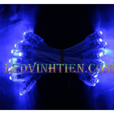 Led đúc f5 5V xanh dương