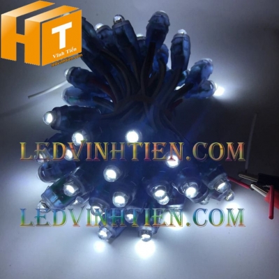 Led đúc 5V F8 đầu trong màu trắng