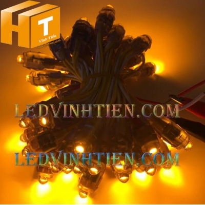 Led đúc 5V F8 đầu trong màu vàng