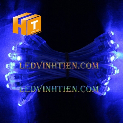 Led đúc 5V F8 đầu trong màu xanh dương