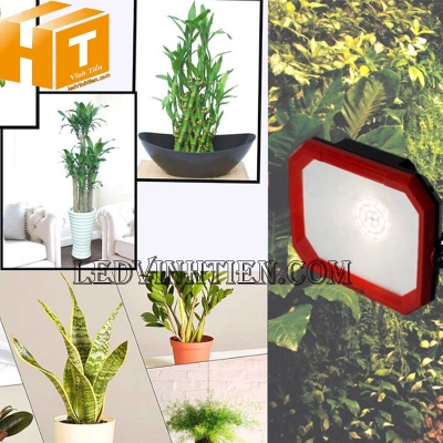 Đèn led trồng cây 50W Rạng Đông