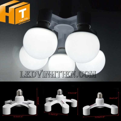 Đầu chia đui đèn