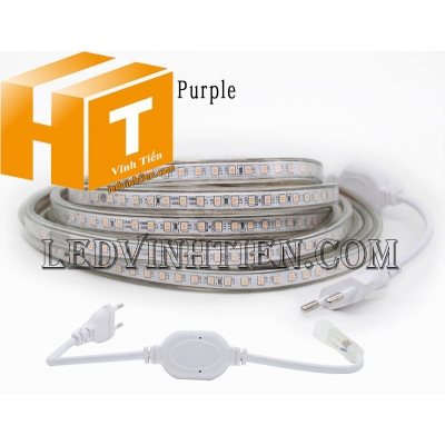 Dây nguồn led dây 220V đơn màu