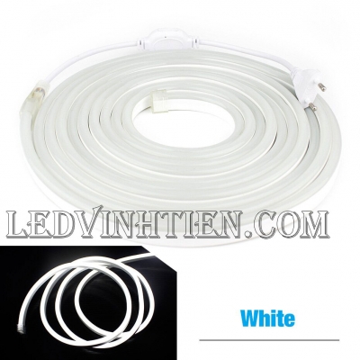 Dây nguồn led neon flex 220V