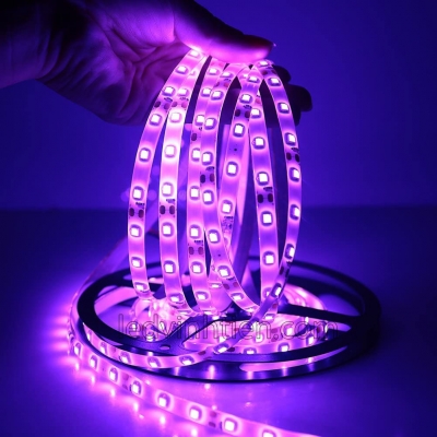 Đèn Led Dây 5054 Màu Tím