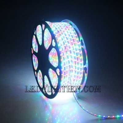Led Dây 5050 220V Đủ màu
