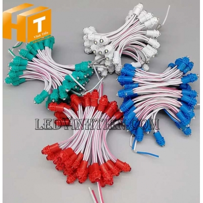 Đèn led dây trang trí noel DC12V