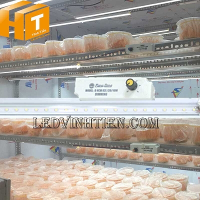 Đèn led nuôi đông trùng hạ thảo Rạng Đông