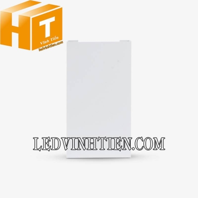 Đèn led gắn tường LN18 ĐM 83x60/6W Rạng Đông