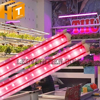 Đèn led trồng rau 25W RED Rạng Đông