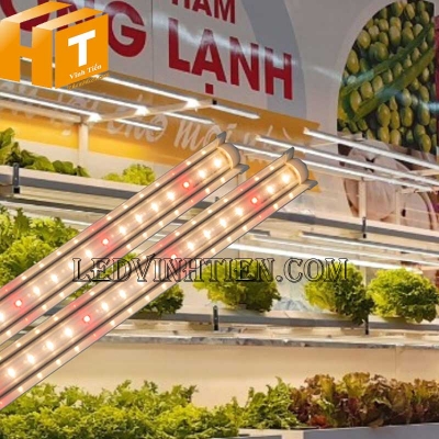 Đèn led trồng rau 25W phổ WR Rạng Đông