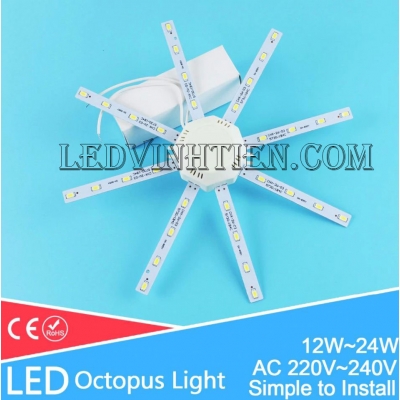 Led vòng 12w