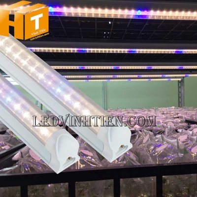 Đèn trồng cây dược liệu 16W WBU Rạng Đông