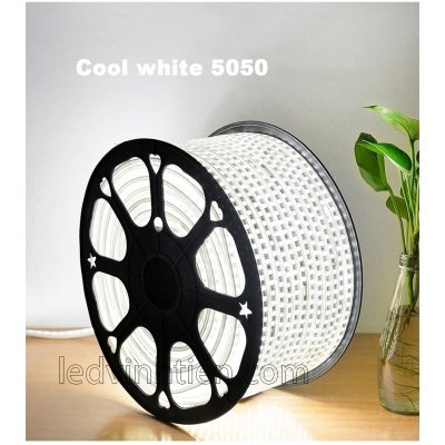 Led Dây 5050 220V Màu Trắng