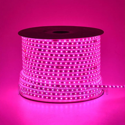 Led Dây 5050 220V Màu Hồng
