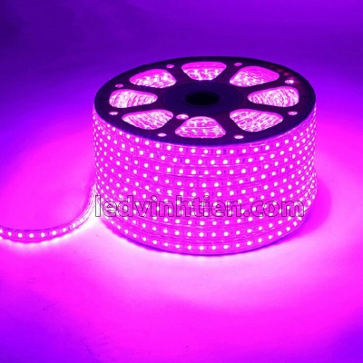 Led Dây 5050 220V Màu Hồng