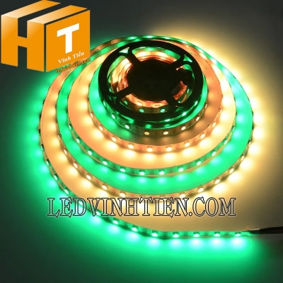 Led dây full color 16703 12V