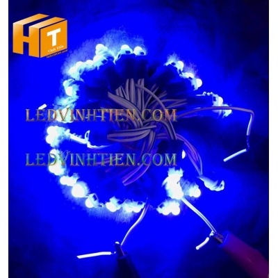 Led đúc F5 12V đế 9mm đầu đục xanh dương
