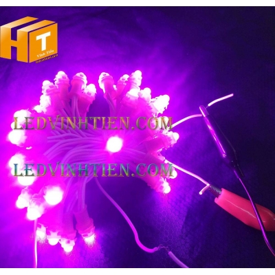 Led đúc F5 12V đế 9mm đục màu hồng