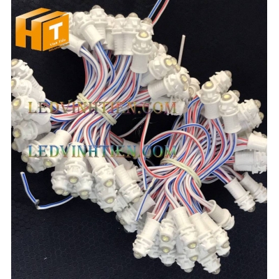 Led đúc F5 12V đế 9mm đục màu trắng