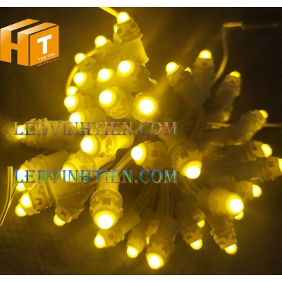 Led đúc F5 12V đế 9mm đục vàng đậm
