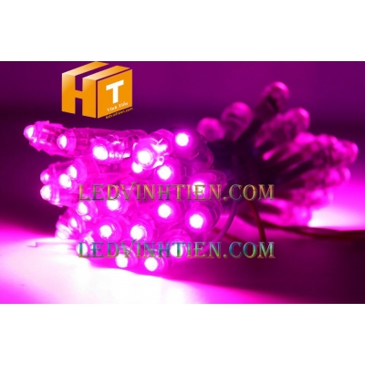 Led đúc F5 5V màu hồng
