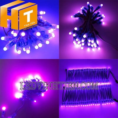 Led đúc f7 5V đầu đục màu tím