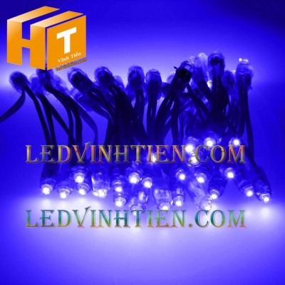 Led đúc F8 12V đầu trong xanh dương